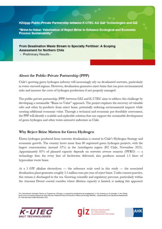 Portada: Resumen ejecutivo PPP Brine-to-Value: de la salmuera de desalinización a fertilizantes especiales (inglés)